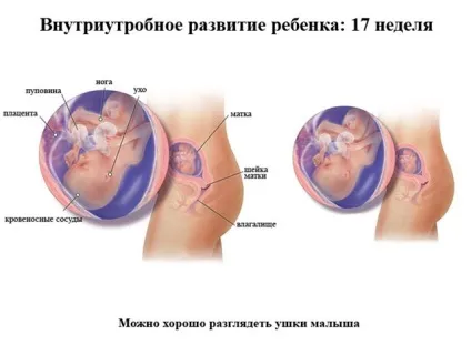 Тонус матки при вагітності симптоми у 2 триместрі, причини і ознаки, як визначити (тонус) Тонус матки при вагітності симптоми у 2 триместрі, причини і ознаки, як визначити