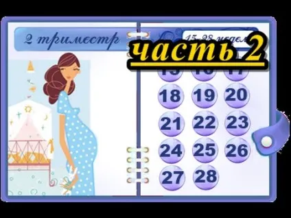 Тонус матки при вагітності симптоми у 2 триместрі, причини і ознаки, як визначити (вагітності) Тонус матки при вагітності симптоми у 2 триместрі, причини і ознаки, як визначити