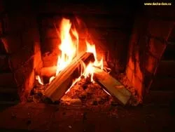 Паливні брикети проти березових дров (проти) Паливні брикети проти березових дров