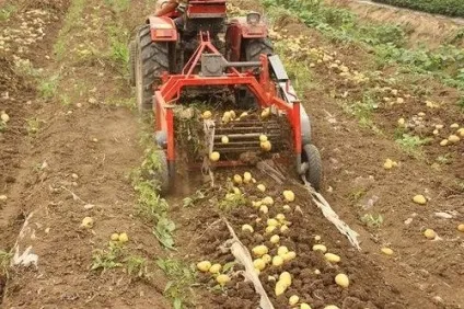 Транспортерна картоплекопач для минитрактора своїми руками фото креслення і відео (минитрактора) Транспортерна картоплекопач для минитрактора своїми руками фото креслення і відео