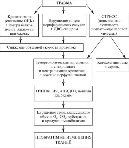 Травматична хвороба в умовах сучасних збройних конфліктів, а також при (травматична хвороба .: в умовах сучасних збройних конфліктів) Травматична хвороба в умовах сучасних збройних конфліктів, а також при
