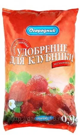 Добрива для полуниці при посадці, варіанти сумішей, фото, відео