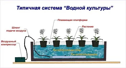 Розумний - полив домашніх рослин принципи і види систем (рослин) Розумний - полив домашніх рослин принципи і види систем