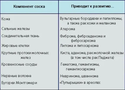 Ущільнення в соску (соску) Ущільнення в соску