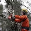 Установка шлагбаума на прибудинковій території що говорить закон (шлагбаума) Установка шлагбаума на прибудинковій території що говорить закон