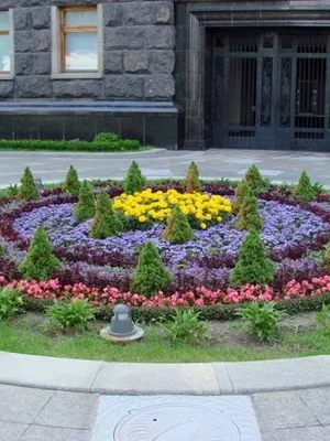 Пристрій квітників на дачі своїми руками, дачасадовода (своїми) Пристрій квітників на дачі своїми руками, дачасадовода