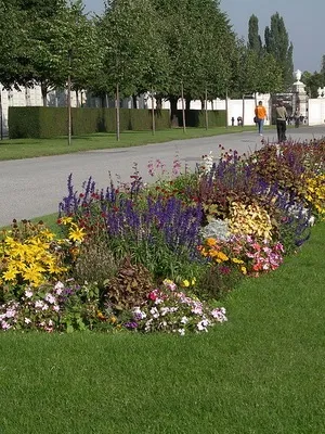 Пристрій квітників на дачі своїми руками, дачасадовода (квітників) Пристрій квітників на дачі своїми руками, дачасадовода