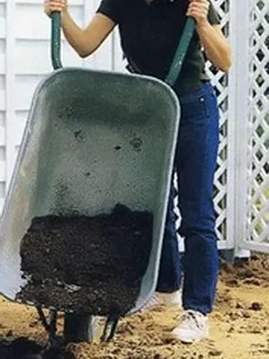 Пристрій квітників на дачі своїми руками, дачасадовода (Які бувають квітники) Пристрій квітників на дачі своїми руками, дачасадовода