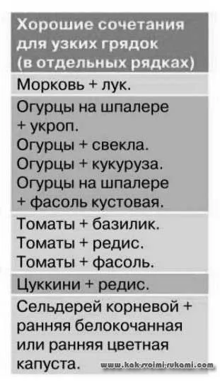 Вузькі грядки своїми руками таблиця поєднання овочів, своїми руками - як зробити самому (поєднання) Вузькі грядки своїми руками таблиця поєднання овочів, своїми руками - як зробити самому