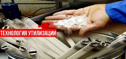 Утилізація ламп денного світла і чим вони небезпечні для людини (світла) Утилізація ламп денного світла і чим вони небезпечні для людини