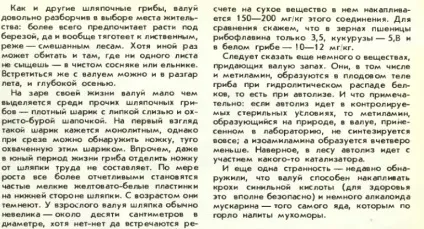 Валуй - форум, їстівні гриби і грибні опису, фото, рецепти приготування (опис грибів) Валуй - форум, їстівні гриби і грибні опису, фото, рецепти приготування