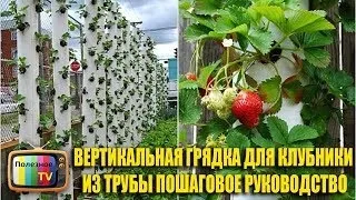 Вертикальна посадка полуниці