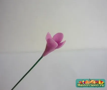 Гілочка бузку з холодного фарфору (порцеляни) Гілочка бузку з холодного фарфору