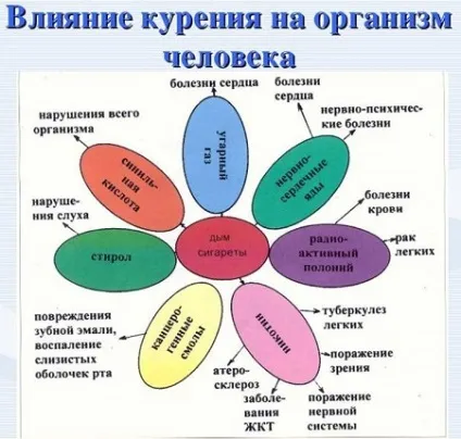 Дієта для тих, що кидають палити меню, яка дієта допомагає при відвиканні від куріння (курити) Дієта для тих, що кидають палити меню, яка дієта допомагає при відвиканні від куріння