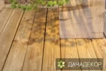 Вибір рослини для бонсай для початківців, сорти, види, умови, технологія, вирощування, догляд (20 (умови) Вибір рослини для бонсай для початківців, сорти, види, умови, технологія, вирощування, догляд (20