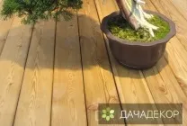 Вибір рослини для бонсай для початківців, сорти, види, умови, технологія, вирощування, догляд (20 (рослини) Вибір рослини для бонсай для початківців, сорти, види, умови, технологія, вирощування, догляд (20