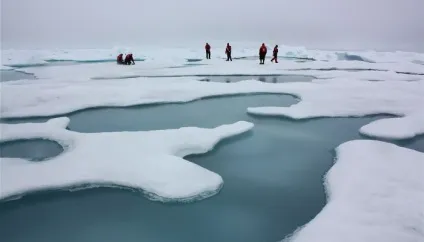 Види морських льодів