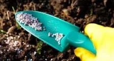Вирощування полуниці в трубах ПВХ вертикально, красивий будинок і сад (полуниці трубах вертикально) Вирощування полуниці в трубах ПВХ вертикально, красивий будинок і сад