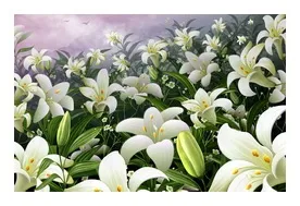 Вирощування лілій і догляд за квіткою (лілій) Вирощування лілій і догляд за квіткою