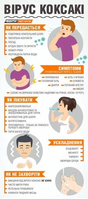 Вірус Коксакі в Україні симптоми, шляхи передачі та наслідки (вірус Коксакі прийшов) Вірус Коксакі в Україні симптоми, шляхи передачі та наслідки