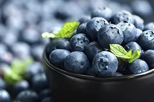 Вирощування чорниці для продажу, корисні статті на блозі Беккер (блог) Вирощування чорниці для продажу, корисні статті на блозі Беккер