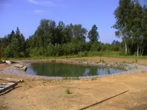 Вирощуємо рибу у себе на ділянці - рибництво як бізнес (себе) Вирощуємо рибу у себе на ділянці - рибництво як бізнес