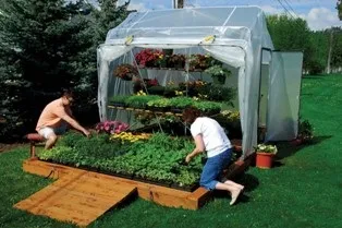 Вирощування петунії на продаж як бізнес, склад грунту (петунії) Вирощування петунії на продаж як бізнес, склад грунту