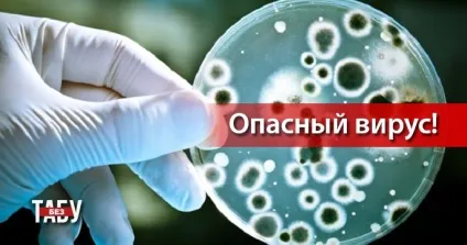 Вірус Коксакі в Україні симптоми, шляхи передачі та наслідки (вірус Коксакі прийшов) Вірус Коксакі в Україні симптоми, шляхи передачі та наслідки
