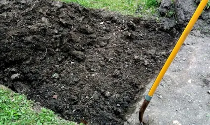 Вирощування топінамбура - як виростити на дачі, від розмноження до збору врожаю відео (дачі) Вирощування топінамбура - як виростити на дачі, від розмноження до збору врожаю відео