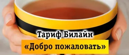 Можливості тарифу Білайн ласкаво просимо, способи підключення (можливості) Можливості тарифу Білайн ласкаво просимо, способи підключення