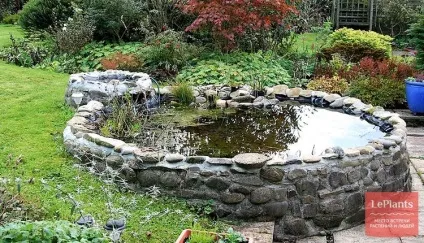 Водойма своїми руками, Новомосковскйте все про садових ставках на (водойму) Водойма своїми руками, Новомосковскйте все про садових ставках на