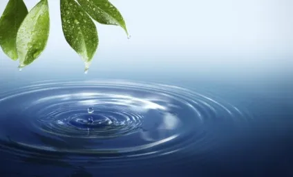 Воду розділили на дві різні рідини - новини науки на (рідини) Воду розділили на дві різні рідини - новини науки на