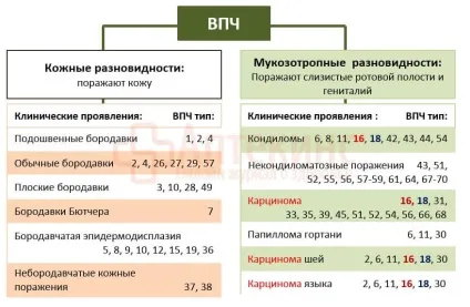 ВПЛ 16 типу у жінок - лікування, симптоми і діагностика (жінок) ВПЛ 16 типу у жінок - лікування, симптоми і діагностика