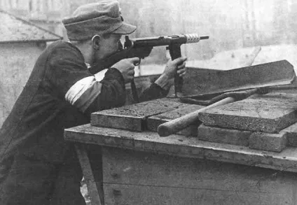 Повстання в годину «w» (адже повинні були) Повстання в годину «w»