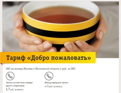 Можливості тарифу Білайн ласкаво просимо, способи підключення (можливості) Можливості тарифу Білайн ласкаво просимо, способи підключення