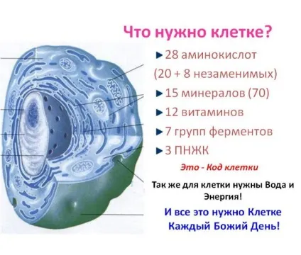 Чи можливо вилікуватися від псоріазу голодуючи
