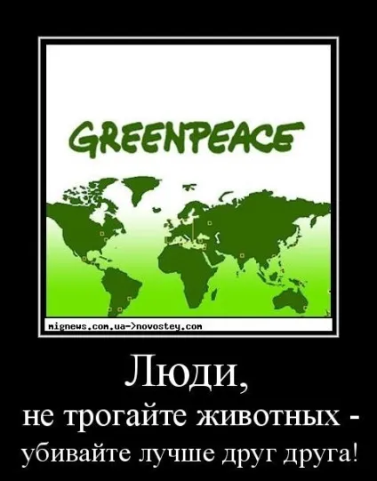 Вовк - загадковий хижак