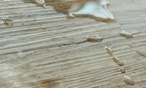 Все що треба знати про водостійкий ламінат для кухні (ламінату кухні має) Все що треба знати про водостійкий ламінат для кухні
