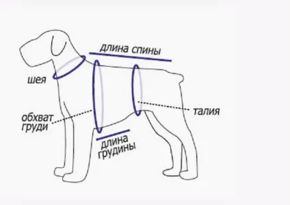 В'язання для собак одягу і взуття з описом (собак) В'язання для собак одягу і взуття з описом