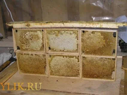 Все про стільниковий мед чим корисний і як його правильно вибрати, відеоогляд (вибрати) Все про стільниковий мед чим корисний і як його правильно вибрати, відеоогляд