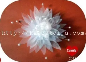хризантема ізорганзи