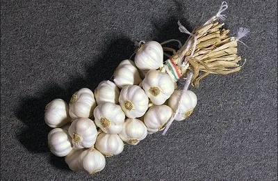 Яровий часник (річний) вирощування, посадка і догляд, чи можна садити під зиму (часник) Яровий часник (річний) вирощування, посадка і догляд, чи можна садити під зиму