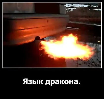 Мова дракона опис, принцип роботи та відео (дракона) Мова дракона опис, принцип роботи та відео