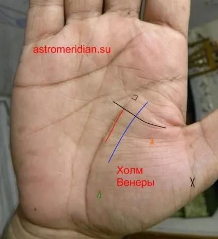 Хіромантія венера пагорб Венери на руці (пагорб) Хіромантія венера пагорб Венери на руці