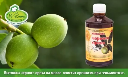 Юглон і препарати на основі чорного горіха від паразитів опис, склад, застосування (горіха) Юглон і препарати на основі чорного горіха від паразитів опис, склад, застосування