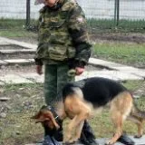 Зарплата слідчого вУкаіни мінімум і максимум (слідчого) Зарплата слідчого вУкаіни мінімум і максимум