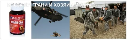 Здоров'я службової собаки - профілактика і лікування (Здоров'я службової собаки) Здоров'я службової собаки - профілактика і лікування