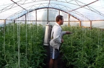 Зав'язь - для томатів інструкція із застосування, переваги препарату (переваги) Зав'язь - для томатів інструкція із застосування, переваги препарату