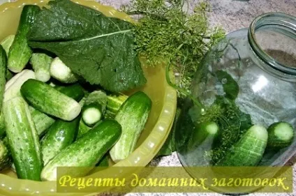 Засолка огірків з горілкою, рецепти домашніх заготовок