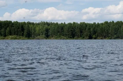 Земельна ділянка на березі озера (озера) Земельна ділянка на березі озера